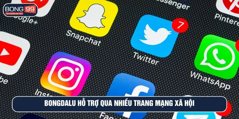 Bongdalu hỗ trợ qua nhiều trang mạng xã hội