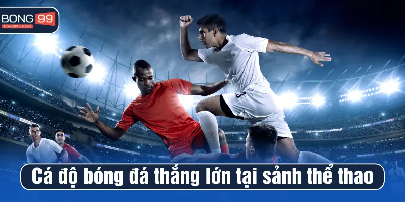Cá độ bóng đá thắng lớn tại sảnh thể thao