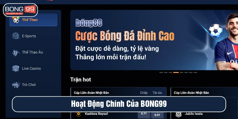 Hoạt động chính của BONG99